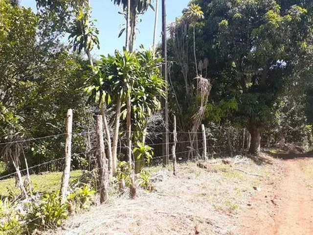 Imagem 5: Vende-Se Chácara 1 Alqueire