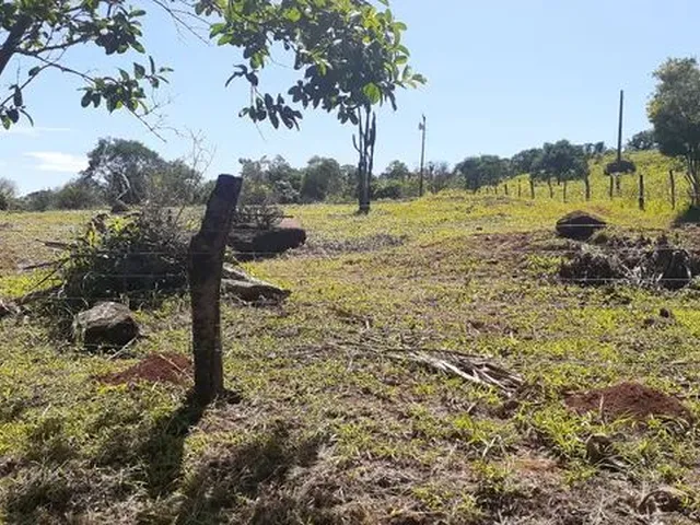 Imagem 3: Vende-Se Chácara 1 Alqueire