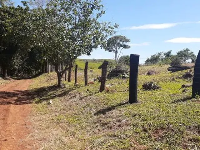 Imagem 6: Vende-Se Chácara 1 Alqueire