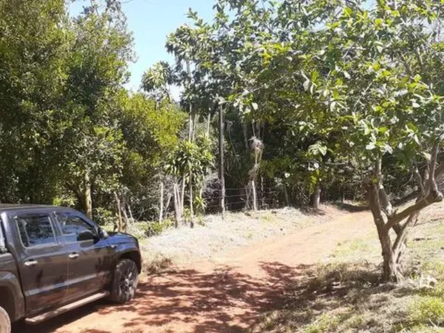 Imagem 11: Vende-Se Chácara 1 Alqueire
