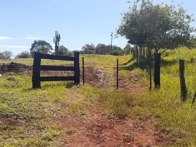 Imagem 8: Vende-Se Chácara 1 Alqueire