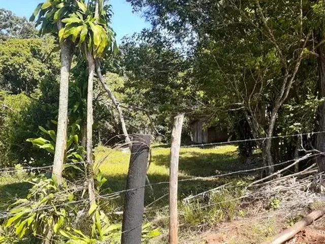 Imagem 13: Vende-Se Chácara 1 Alqueire