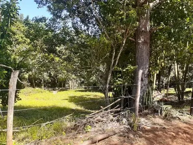 Imagem 12: Vende-Se Chácara 1 Alqueire