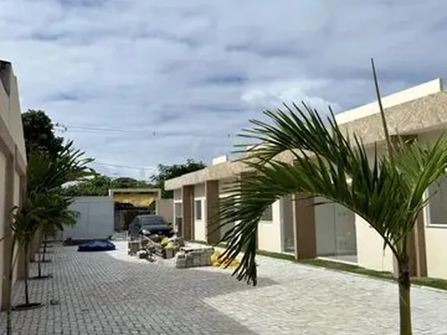 Imagem 14: Oportunidade Priscila Dutra