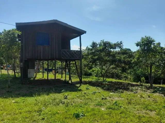 Imagem 1: Vendo Terreno com Casa Ramal Japonês