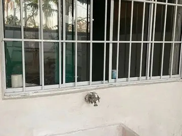Imagem: Aluga Se Uma Casa com 2 Cômodos em Ferraz