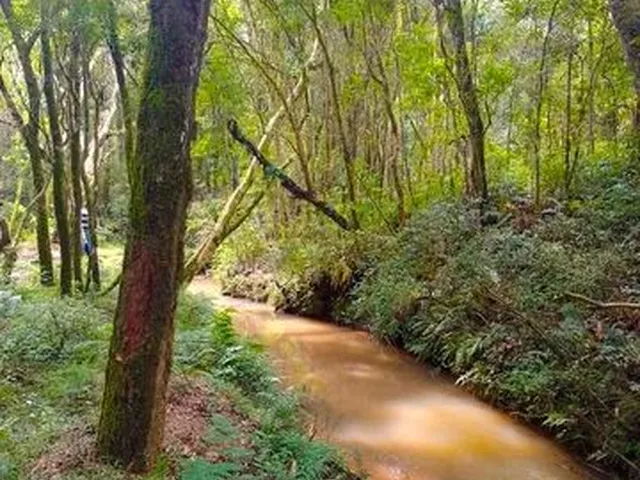 Imagem: Terreno com Nascente de Água e Rio com