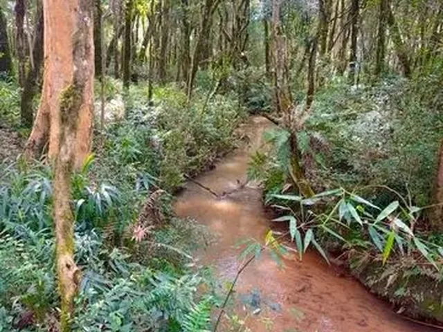 Imagem 4: Terreno com Nascente de Água e Rio com Excelente Possibilidade de Formação de Chácara