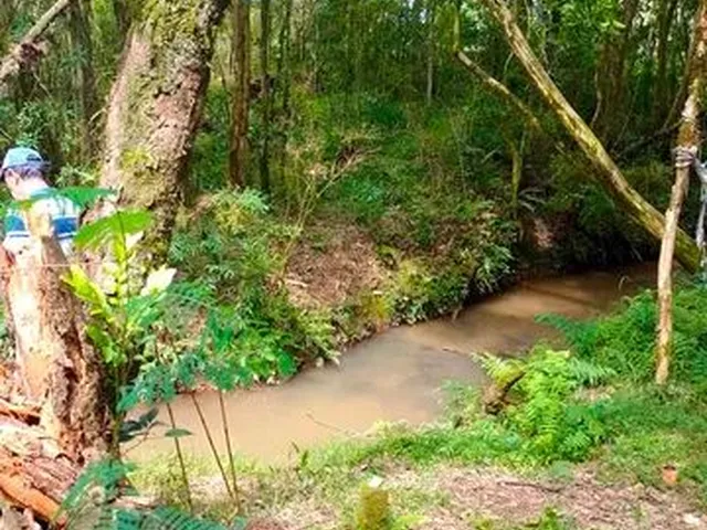 Imagem 2: Terreno com Nascente de Água e Rio com Excelente Possibilidade de Formação de Chácara