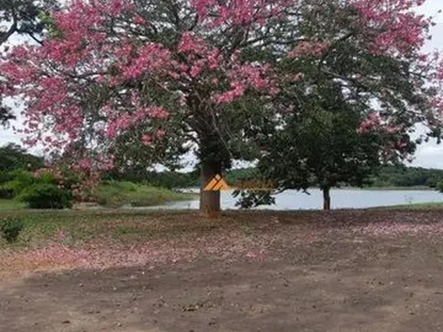 Imagem: Terreno À Venda, 667 M² por R$ 230.000,00