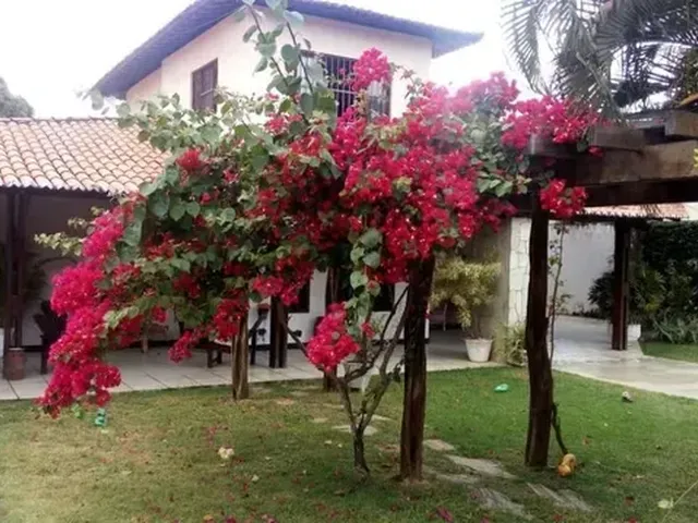 Imagem: Casa com 5 Dormitórios, 524 M² - Venda