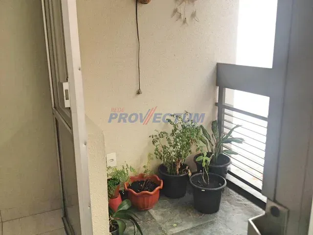 Imagem 6: Apartamento - Jardim Proença - Campinas