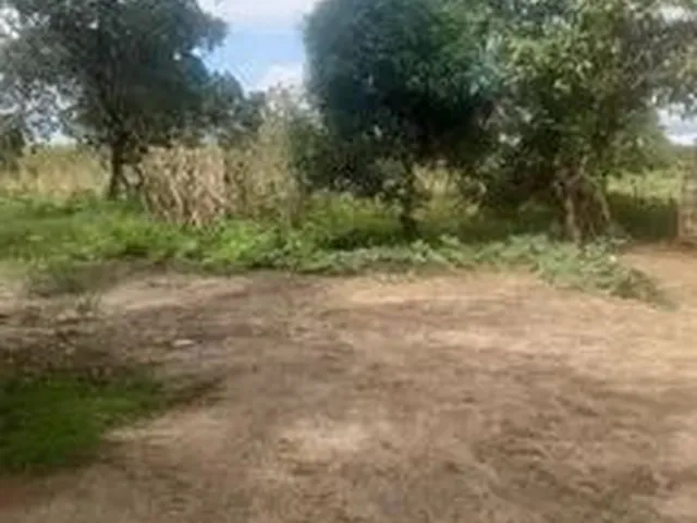 Imagem 3: Vende-Se Sítio em Mataraca