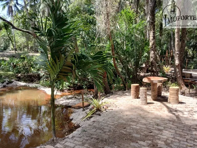 Imagem: Árua - Lindo Lote com 5.280,00M², Nascente