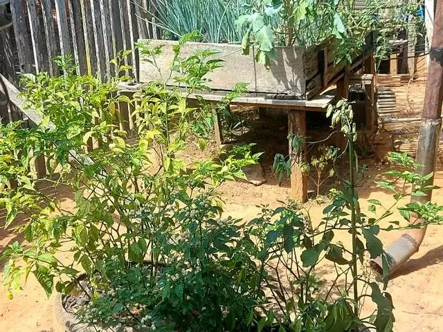 Imagem 3: Casa com 03 Quartos