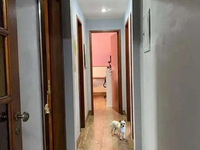 Imagem 7: Belíssima Casa Reformada no Bingen de 3 Quartos Sendo Uma Suite (Estuda Permuta Por