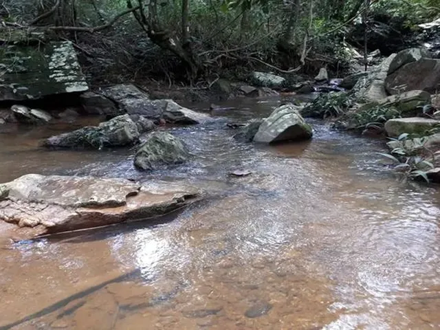 Imagem 6: Corumbá 4 Casa no Condomínio Interlagos