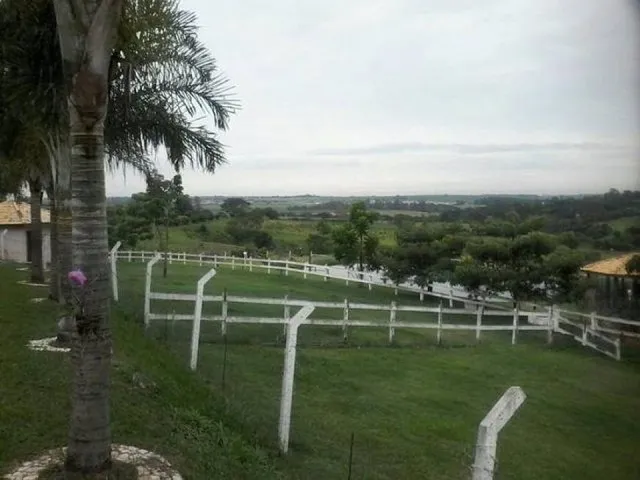 Imagem 3: Anne Araújo- Carta de Crédito