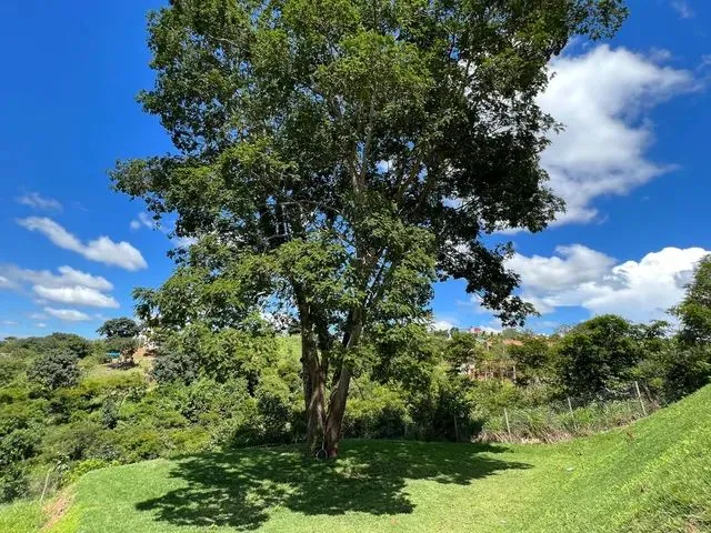 Imagem 9: Casa Corumba 4 Mobilhada. 642Uns