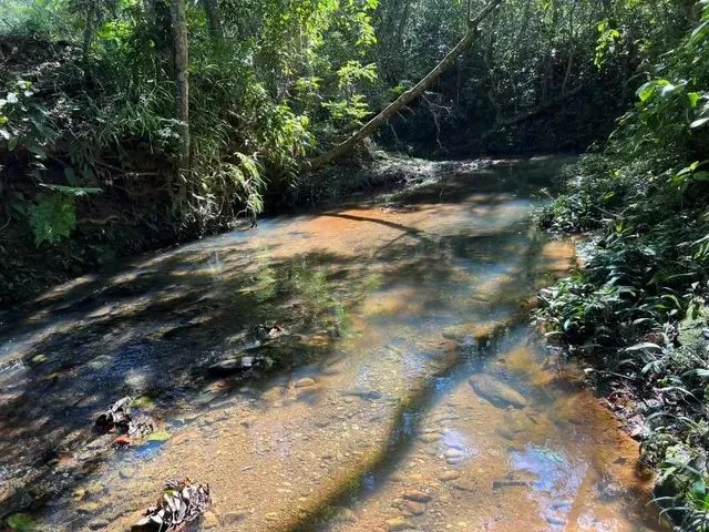Imagem: Chácara À Venda, 20.000M2 a 55Km de Brasilia