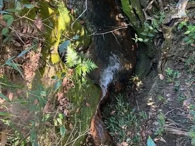 Imagem 3: Chácara À Venda, 20.000M2 a 55Km de Brasilia, Parcelas a Partir de 625,00