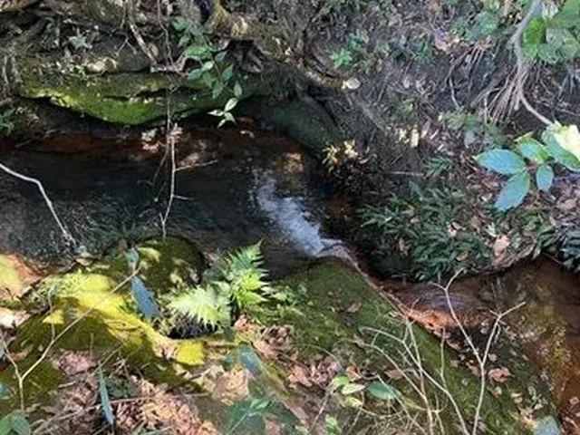 Imagem 4: Chácara À Venda, 20.000M2 a 55Km de Brasilia, Parcelas a Partir de 625,00
