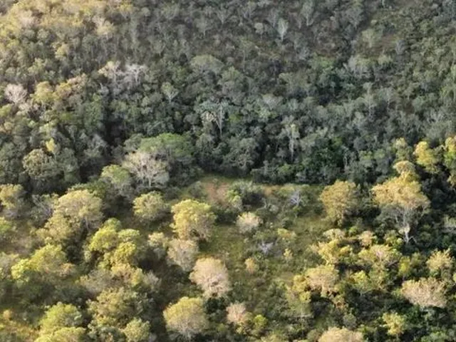 Imagem 2: Chácara À Venda, 20.000M2 a 55Km de Brasilia, Parcelas a Partir de 625,00