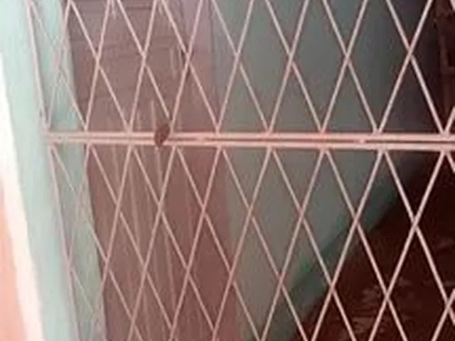 Imagem 3: Casa para Alugar