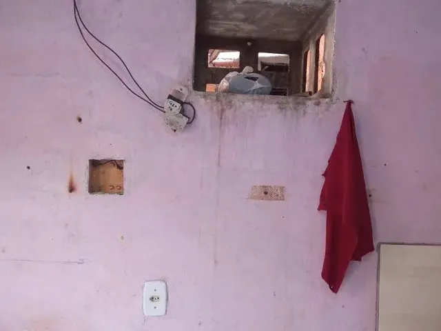 Imagem: Lírio do Vele 1