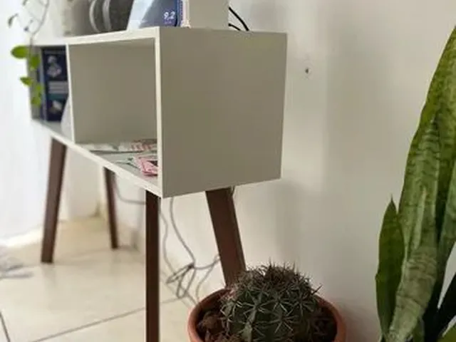 Imagem 4: Apto Cactus (Diária