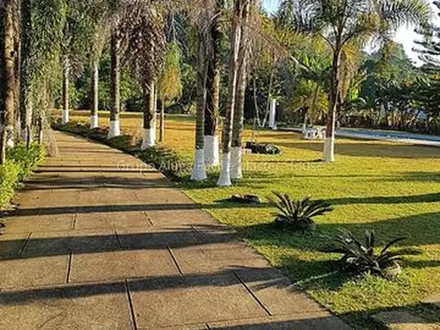 Imagem 7: Ref.: 10003 - Sítio 5000M² - Novo Horizonte