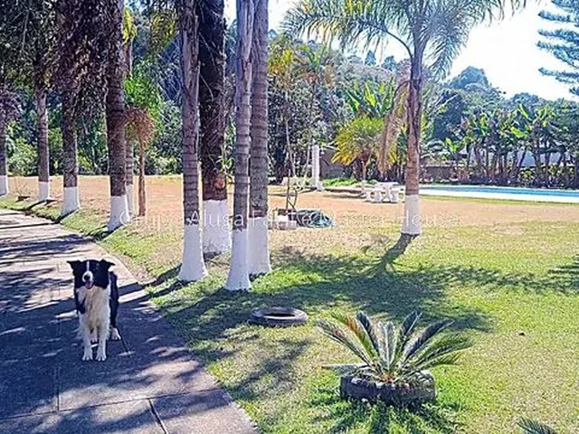 Imagem 6: Ref.: 10003 - Sítio 5000M² - Novo Horizonte