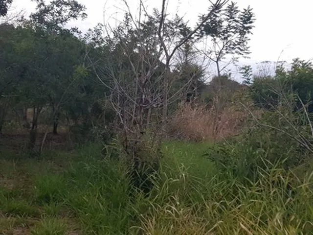 Imagem 2: Chácara com 30,000M2 Doutor Camargo Pr