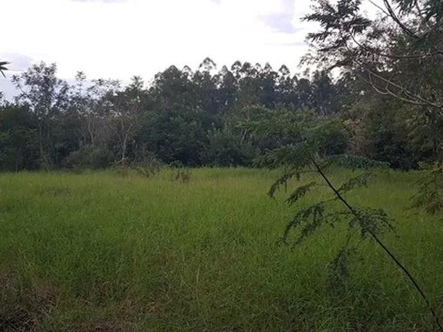Imagem 4: Chácara com 30,000M2 Doutor Camargo Pr