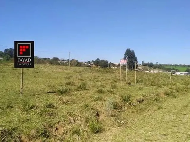 Imagem: Periquitos - Vila Romana