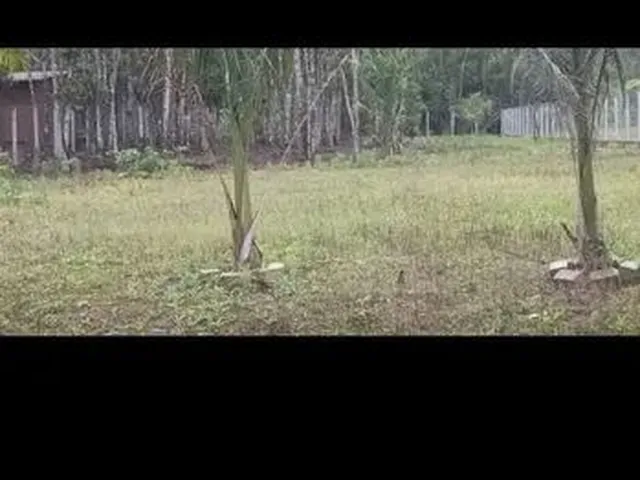 Imagem: Chácara em Joinville 1.800M2