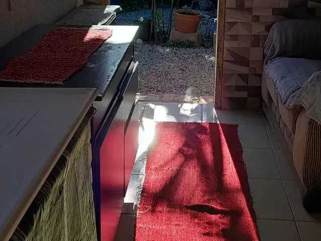 Imagem 5: Alugo.para Casal com Um Gato