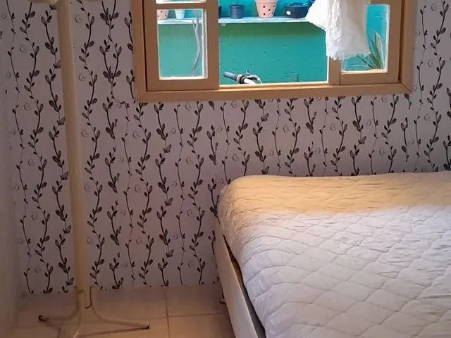 Imagem 4: Alugo.para Casal com Um Gato