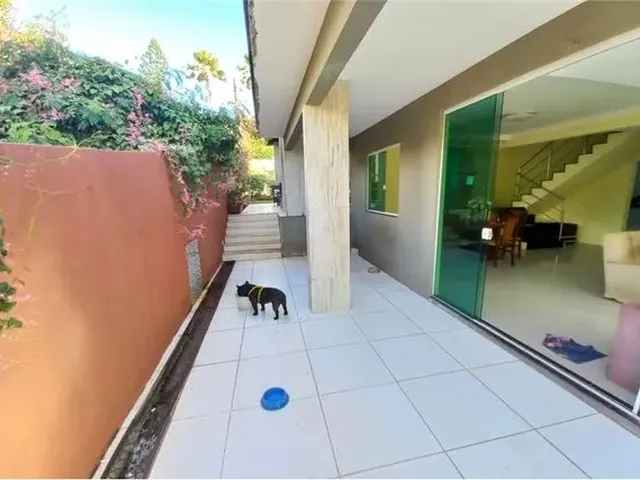 Imagem 12: Esta Casa É Especial