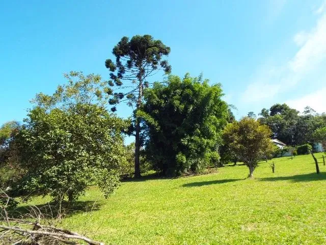 Imagem: Chácara 2 Casas 7.500M² 2 Esquinas Palmeiras