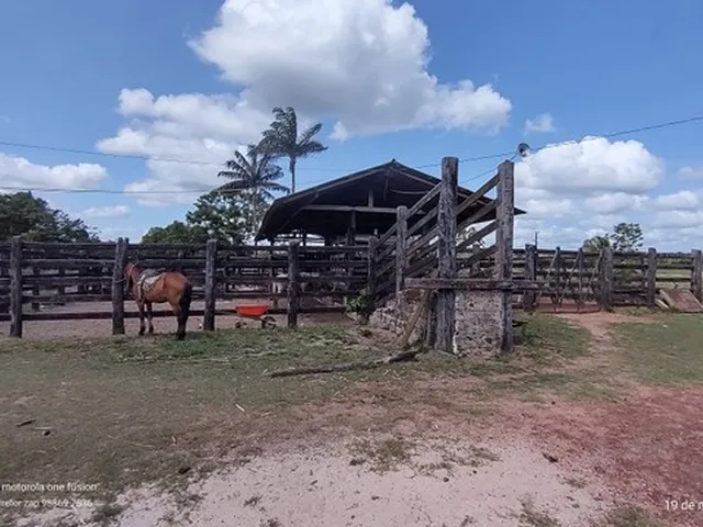 Imagem 3: 200 Hectares Pronta e Documentada Sentido Capanema