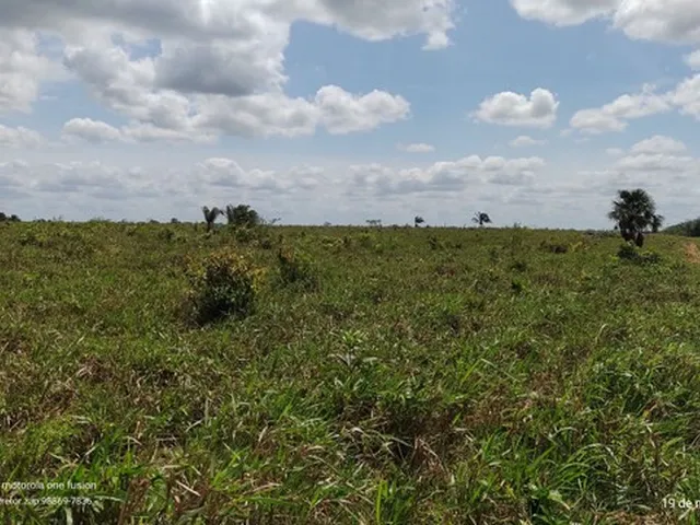 Imagem 14: 200 Hectares Pronta e Documentada Sentido Capanema