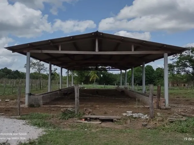Imagem 5: 200 Hectares Pronta e Documentada Sentido Capanema