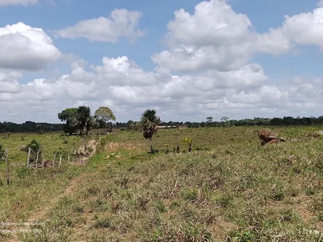 Imagem 16: 200 Hectares Pronta e Documentada Sentido Capanema