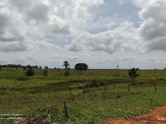 Imagem 4: 200 Hectares Pronta e Documentada Sentido Capanema
