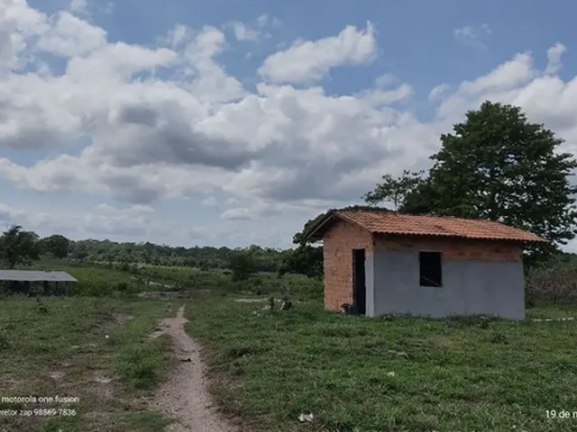 Imagem 15: 200 Hectares Pronta e Documentada Sentido Capanema