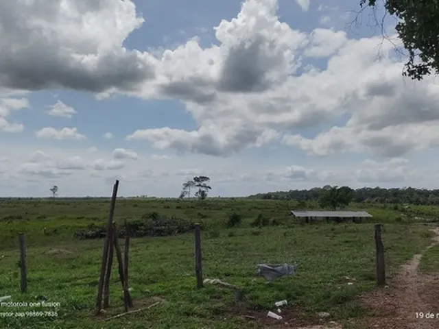 Imagem 8: 200 Hectares Pronta e Documentada Sentido Capanema