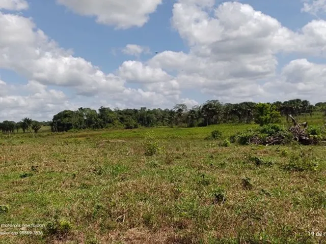 Imagem 11: 200 Hectares Pronta e Documentada Sentido Capanema