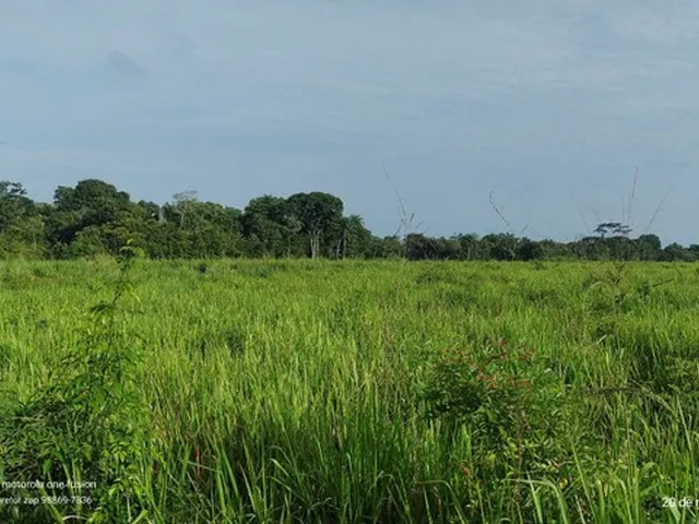 Imagem 12: 200 Hectares Pronta e Documentada Sentido Capanema