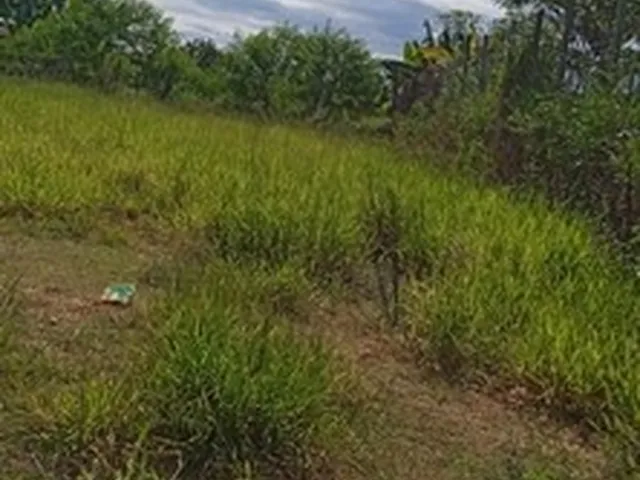 Imagem 4: Terreno Pedra Amarela em Jacutinga